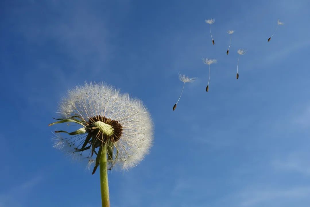 _震惊科技_科技震撼人心